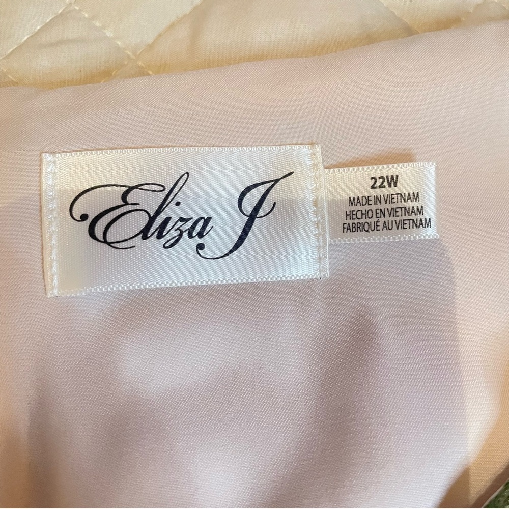 NWT Eliza J 3D Embroidered Floral Mesh Puff Sleeve Sheath Dress Plus Size 22W - Picture 3 of 16